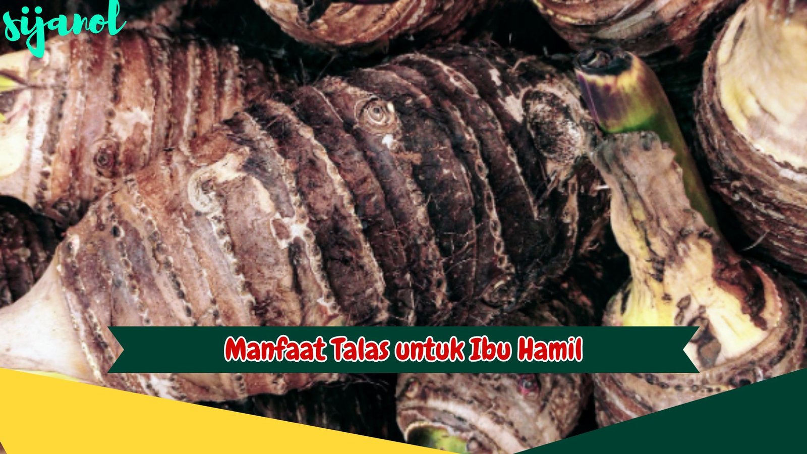 Manfaat Talas untuk Ibu Hamil