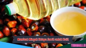 Manfaat Minyak Kelapa Sawit untuk Kulit