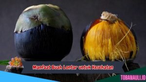 Manfaat buah lontar untuk kesehatan