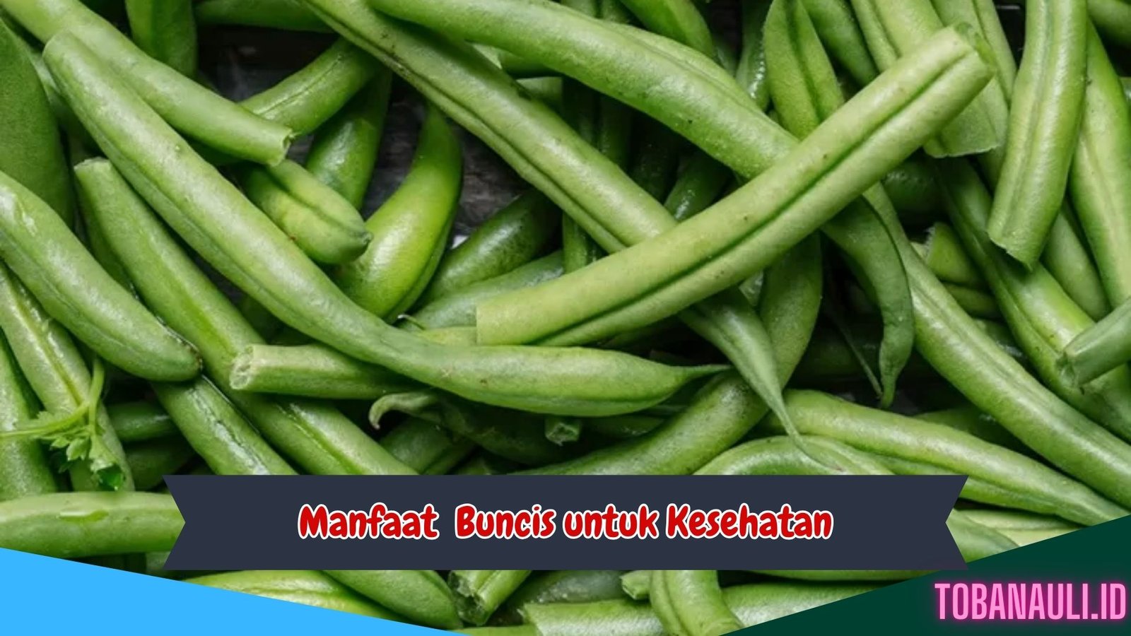 Manfaat Buncis untuk Kesehatan