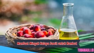 Manfaat Minyak Kelapa Sawit untuk Rambut