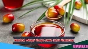 Manfaat Kelapa Sawit untuk Kesehatan