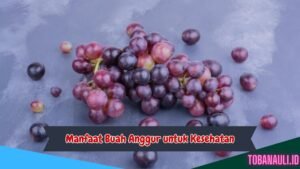 Manfaat Buah Anggur untuk Kesehatan