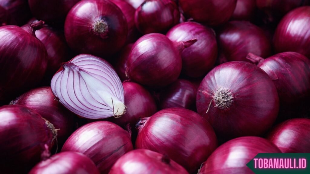 Manfaat Makan Bawang Merah Mentah Sebelum Tidur