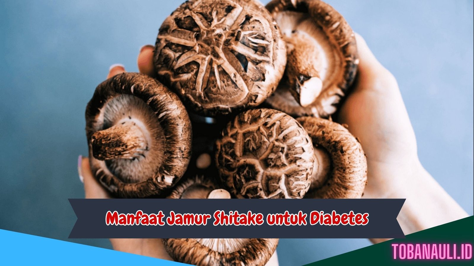 Manfaat Jamur Shitake untuk Diabetes