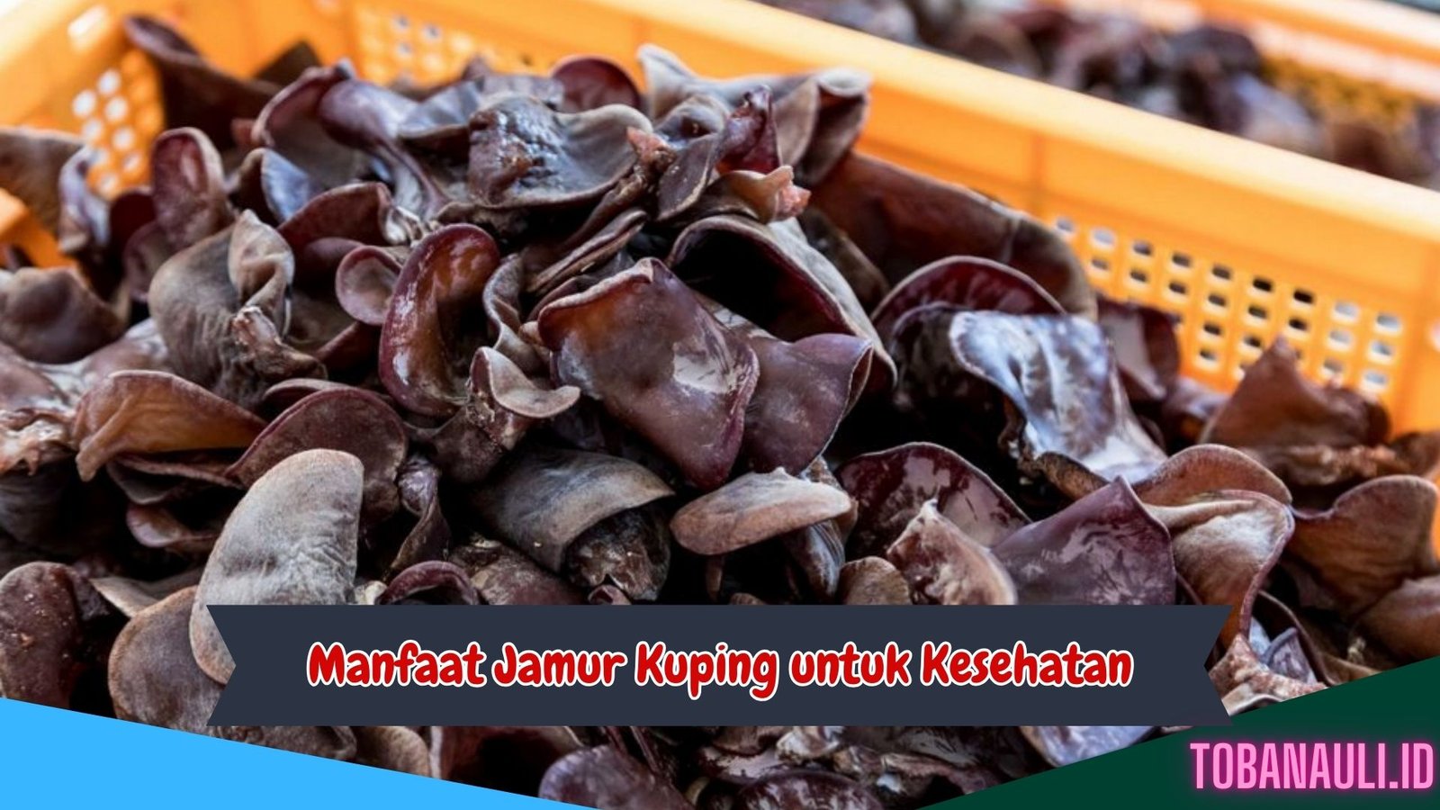 Manfaat Jamur Kuping untuk Kesehatan