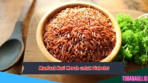 Manfaat Nasi Merah untuk Diabetes