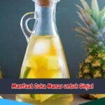 Manfaat Cuka Nanas untuk Ginjal