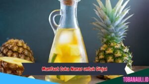 Manfaat Cuka Nanas untuk Ginjal