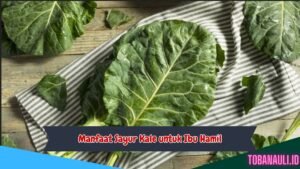 Manfaat Sayur Kale untuk Ibu Hamil