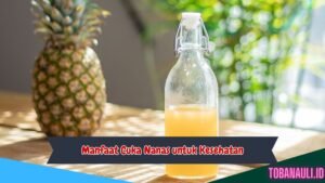 Manfaat Cuka Nanas untuk Kesehatan