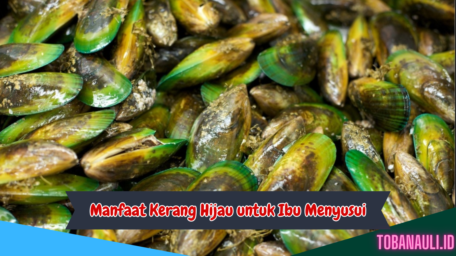 Manfaat Kerang Hijau untuk Ibu Menyusui