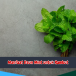 Manfaat Daun Mint untuk Rambut