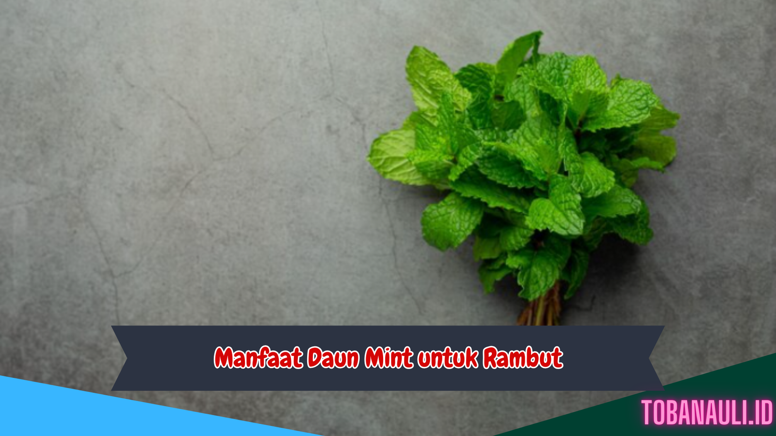 Manfaat Daun Mint untuk Rambut