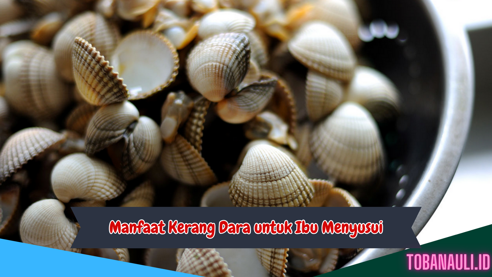 Manfaat Kerang Dara untuk Ibu Menyusui