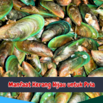 Manfaat Kerang Hijau untuk Pria