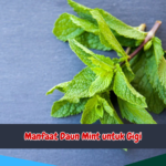 Manfaat Daun Mint untuk Gigi