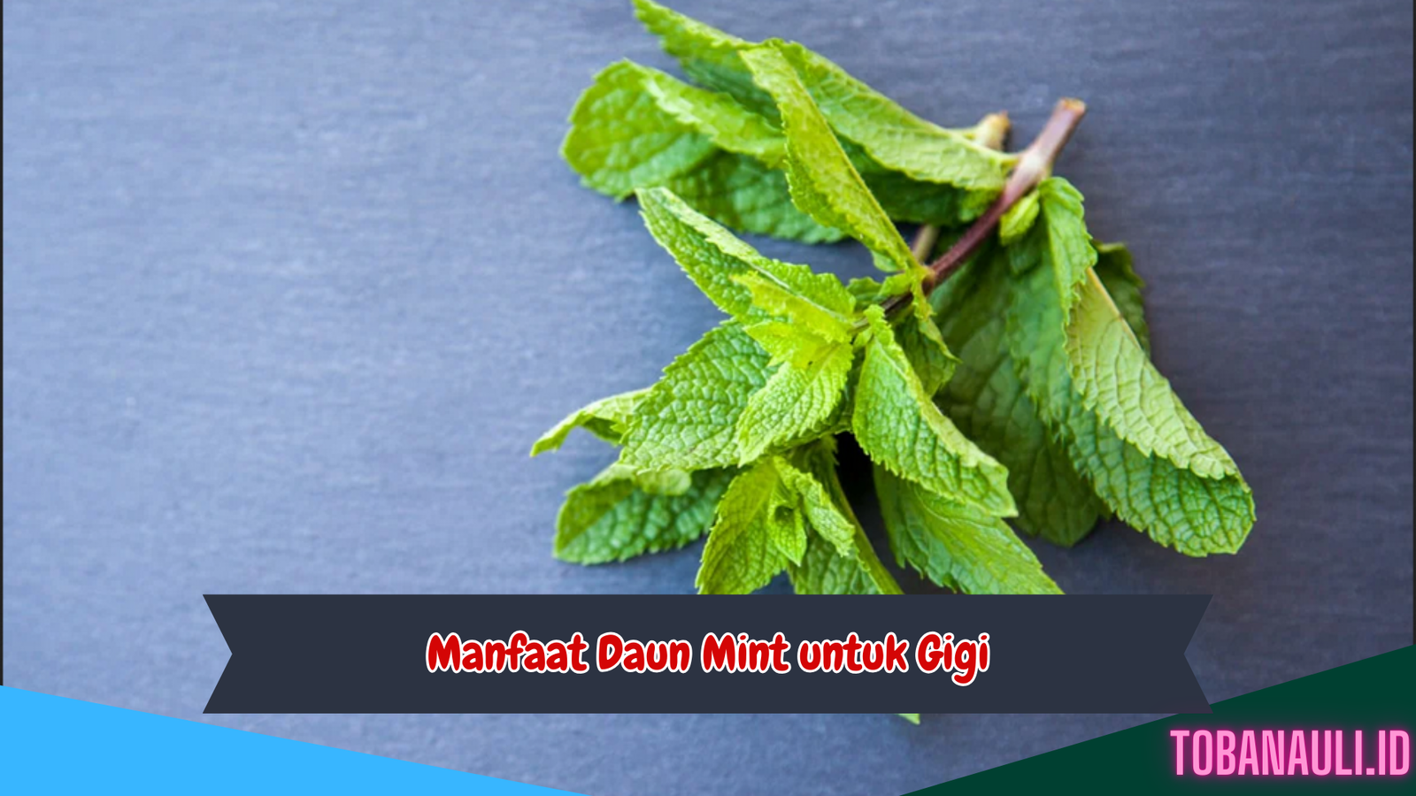 Manfaat Daun Mint untuk Gigi