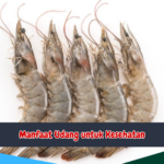 Manfaat Udang untuk Kesehatan