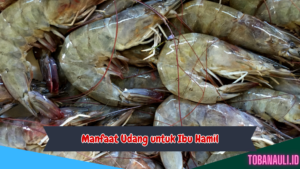 Manfaat Udang untuk Ibu Hamil