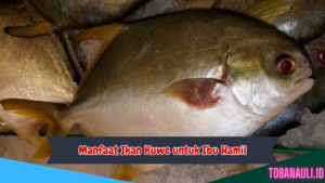 Manfaat Ikan Kuwe untuk Ibu Hamil