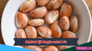 Manfaat Biji Nangka untuk Pria