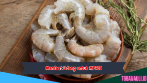 Manfaat Udang untuk Mpasi