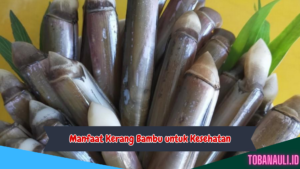 Manfaat Kerang Bambu untuk Kesehatan